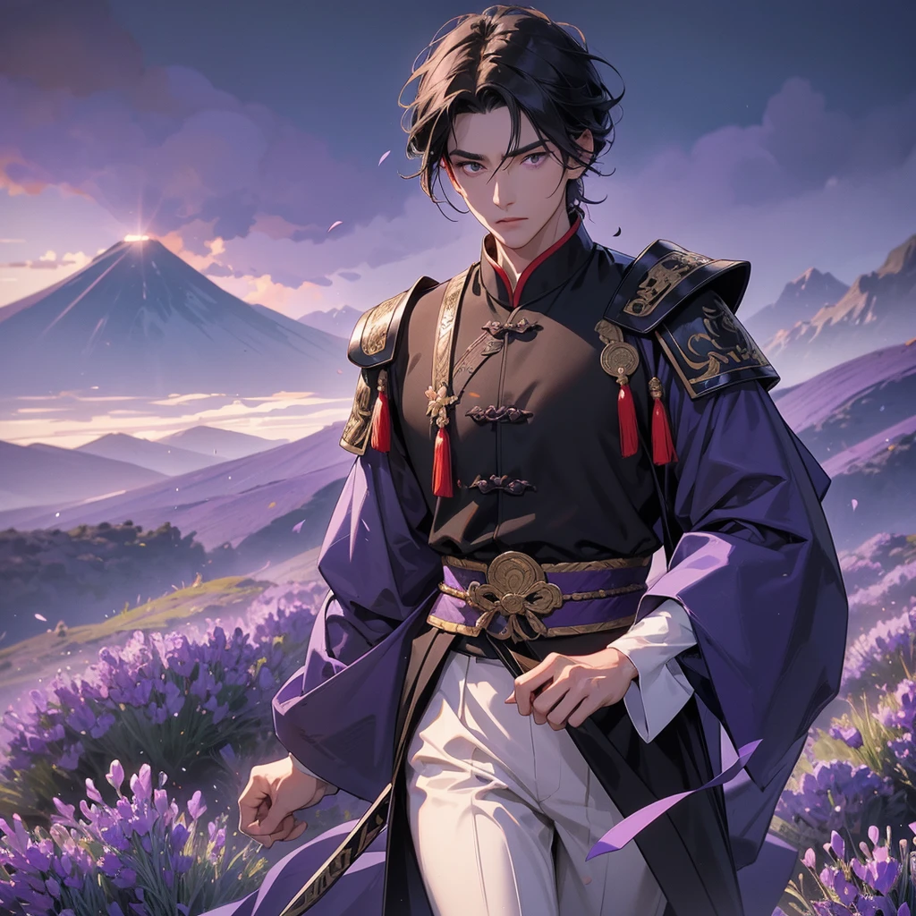 Handsome black-haired male general holding a large sword in black ancient Chinese general costume, walking In the middle of lavender fields , Surrounded by lavender fields, purple, with green mountains in the background, low clouds, the sun is about to set, close up.