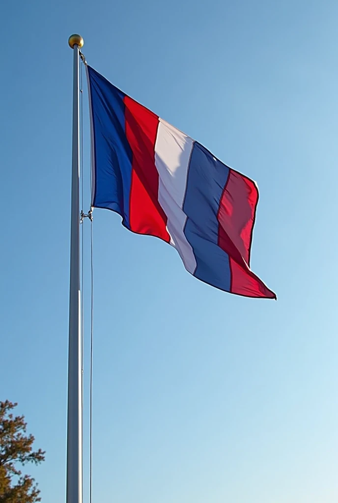 Blue red and white school flag 