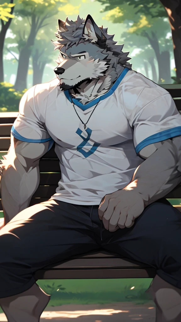 A Picture In front of A Very Muscular Furry Gray Wolf. He is Sitting On A Bench in A Park Forest. He is wearing A Blue short and white and Blue T-Shirt. He is sad with A Sad Face on his face. His head is looking at you. He have A Gray messy hair. He have a very long tail on his lap