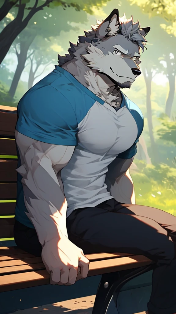 A Picture In front of A Very Muscular Furry Gray Wolf. He is Sitting On A Bench in A Park Forest. He is wearing A Blue short and white T-shirt with short Blue Sleeve. He have A Frowning Face. His eye is staring at you. He have A Gray messy hair