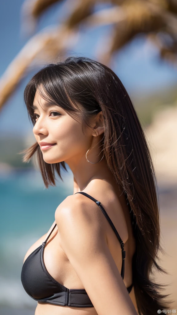 ((top quality、In 8K、masterpiece:1.3))、sharp focus:1.2、beautiful woman perfect body:1.4、slim abs:1.2、((medium hair、Straight hair:1.2))、(Black simple bikini:1.1)、(Hawaii beach:1.2)、Wet body:1.5、3D texture、eye for detail、brown hair、Very shiny hair、rear view、Improve hair quality、Korean style hair, Looking straight at the viewer, (Hair blowing in the wind:1.3), A little smile