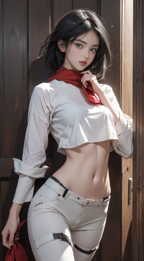 8K, Top Quality, Intricate Details, Ultra Detail, Ultra High Resolution, Masterpiece, random angle, mikasa ackerman, Slender, Smile, (Makeup: 0.4), (Fluffy Blue Eyes: 1.21), blue Eyes,, ((full body)), 1girl, solo, 1 girl, (( full body)), close-up shot, , , ((tall)), (((fit body))), (((slim face))), sharp face, sharp eyes, (((black hair, short hair, bangs )) ,(detailed face), sharp face, small lips, thin lips,
((red scarf, crop top, thigh strap)), detailed face, detailed breast, , large breast, detail, , Beautiful girl with accentuated slender abs: 1.4, Six Pack Abs: 1.4, Bust Botox, Big, Perfect Body, detail leg, (( moonlight)), ocean