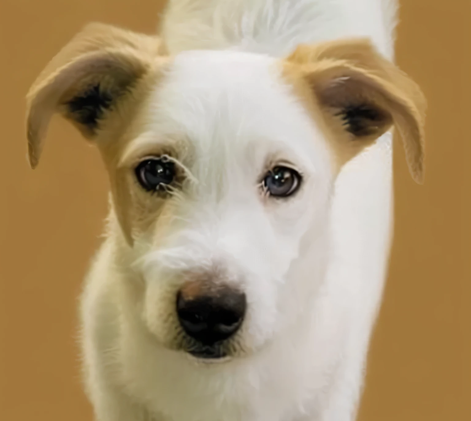 a very cute furry dog, hairs drawn like cartoon, perfectly drawn eyes, eyes like a cartoon drawing, beautiful eyes, perfect eyes, she is very happy, she is smiling, the image is very detailed