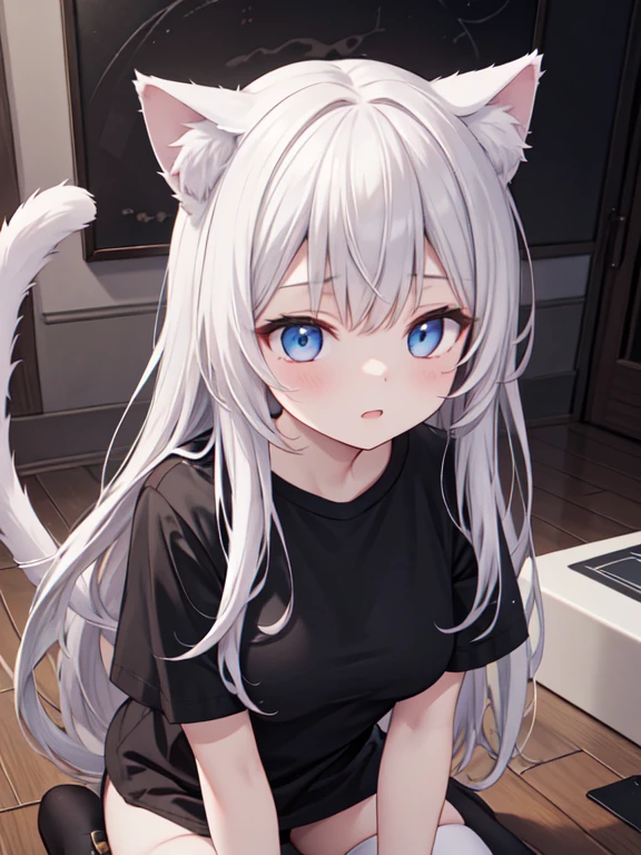 a girl with cat ears and cat tail, white stockings, black t-shirt, line art style, (best quality,4k,8k,highres,masterpiece:1.2),,studio lighting,ultra-fine painting,,detailed face,beautiful anatomy,