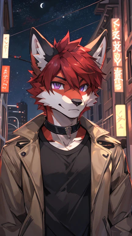 (Artist by zackary911, 8k, high quality, detailed eyes and fur, night, residents background), solo, male fox, anthro, red satured fur, red body, male body, purple eyes, black ears, red hair, short hair, hair cover eye, hands white, choker, eyeliner black, beige jacket, black shirt,