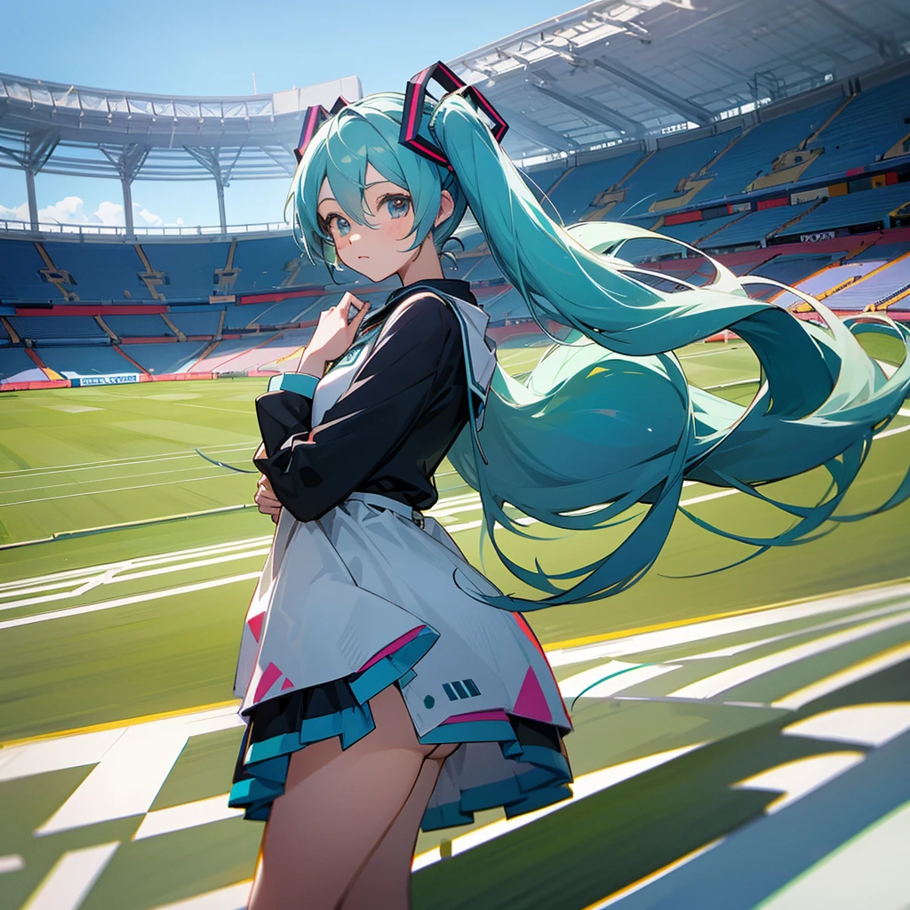Hatsune miku Watch the soccer event in stadium