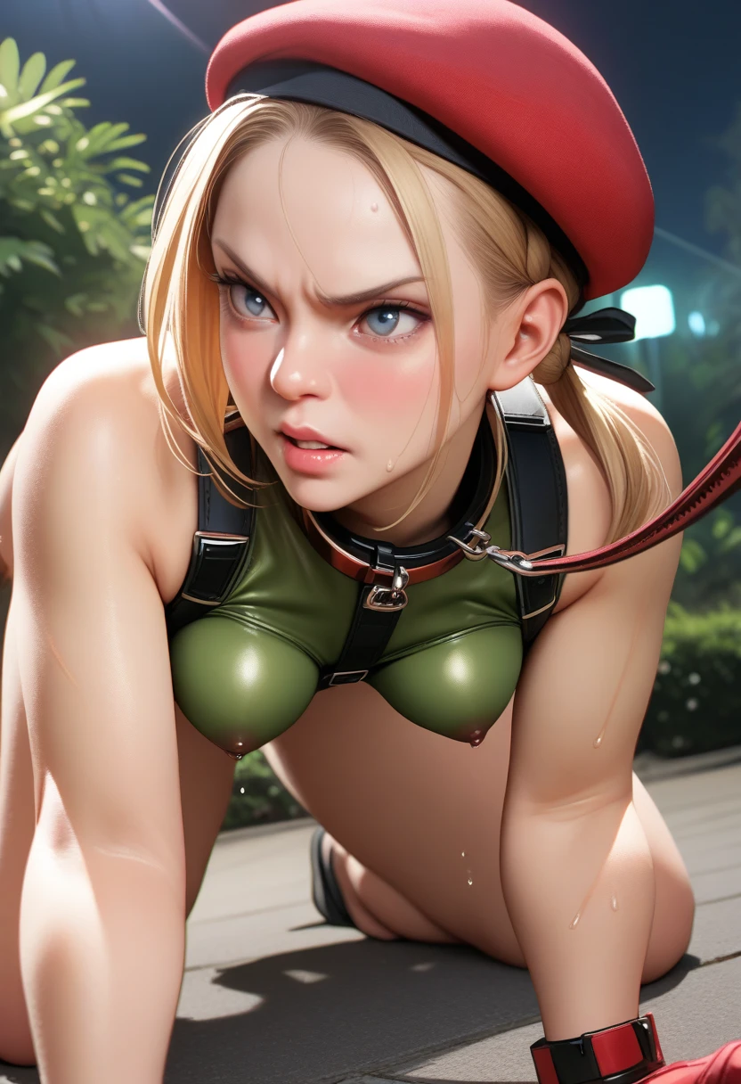 Cammy,blue eyes, blonde hair, braid, red fingerless gloves, leotard, lips, muscular, beret, highleg, scar, red headwear, scar on face, highleg leotard, camouflage, harness, thong leotard, green leotard, chest harness,metal collar with leash,perfect hands, perfect finger,perfect anatomy, masterpiece, best quality,realistic, hyperrealistic, 16k hdr,1girl, medium breasts,erected nipples, outdoor,night,park,,(all fours),sweat,(red blush,angry:1.2)