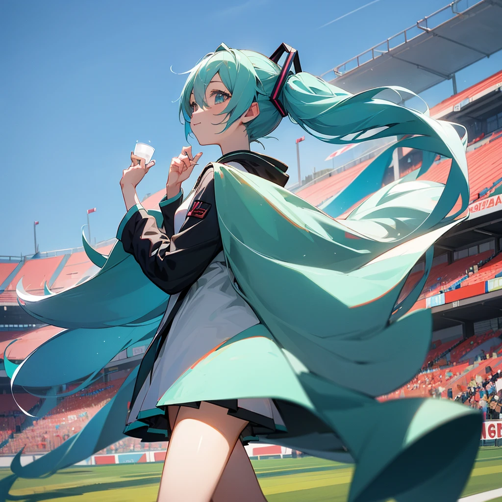 Hatsune miku Watch the soccer event and cheers in stadium