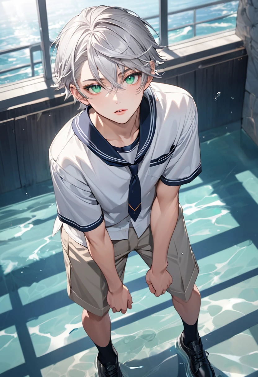 High quality, detailed, full body, detailed background, casual pose, young boy, high school boy, Silver hair, Transparent sea green eyes, intense gaze, alluring, looking at the camera, highlights, detailed eyes, parted lips, detailed lips, Short silver hair, hair streaks, beautiful boy, perfect face, wearing a prestigious school uniform,