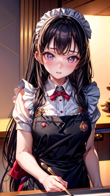 masterpiece, absurdres , (intricate details), (colorful),cinematic lighting, bust shot, extremely detailed CG unity 8k wallpaper, 1girl, Robin, long hair، black hair, wide pupils, complete Apron, apron, kitchen, blush, looking at viewer, Robin,