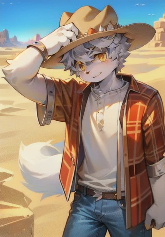 ,White male cat,Boys,Lovely,Q version,,Big furry tail,Hairy pads,Golden Eyes,Silver Hair,Detailed background,desert,Cowboy hat,jeans,Western Cowboy,Plaid Clothes,Holding a pistol