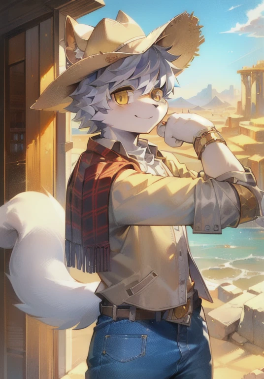 ，White male cat，Boys，Lovely，Q version，，Big furry tail，Hairy pads，Golden Eyes，Silver Hair，Detailed background，desert，Cowboy hat，jeans，Western Cowboy，Plaid Clothes，Holding a pistol