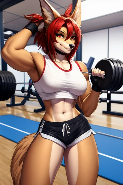 Jackal short shorts gym