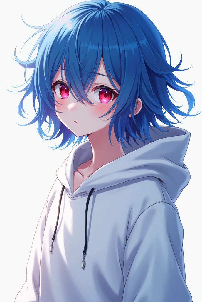 Blue hair and Red hair
Blue eyes and red eyes
Hoodie white boy anime