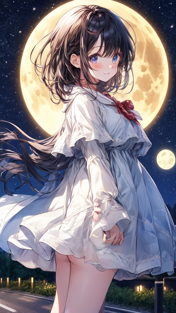 ultra quality, 2d girl, ((HD quality)),
stand, Road, there are trees around,
road sign, night, full moon