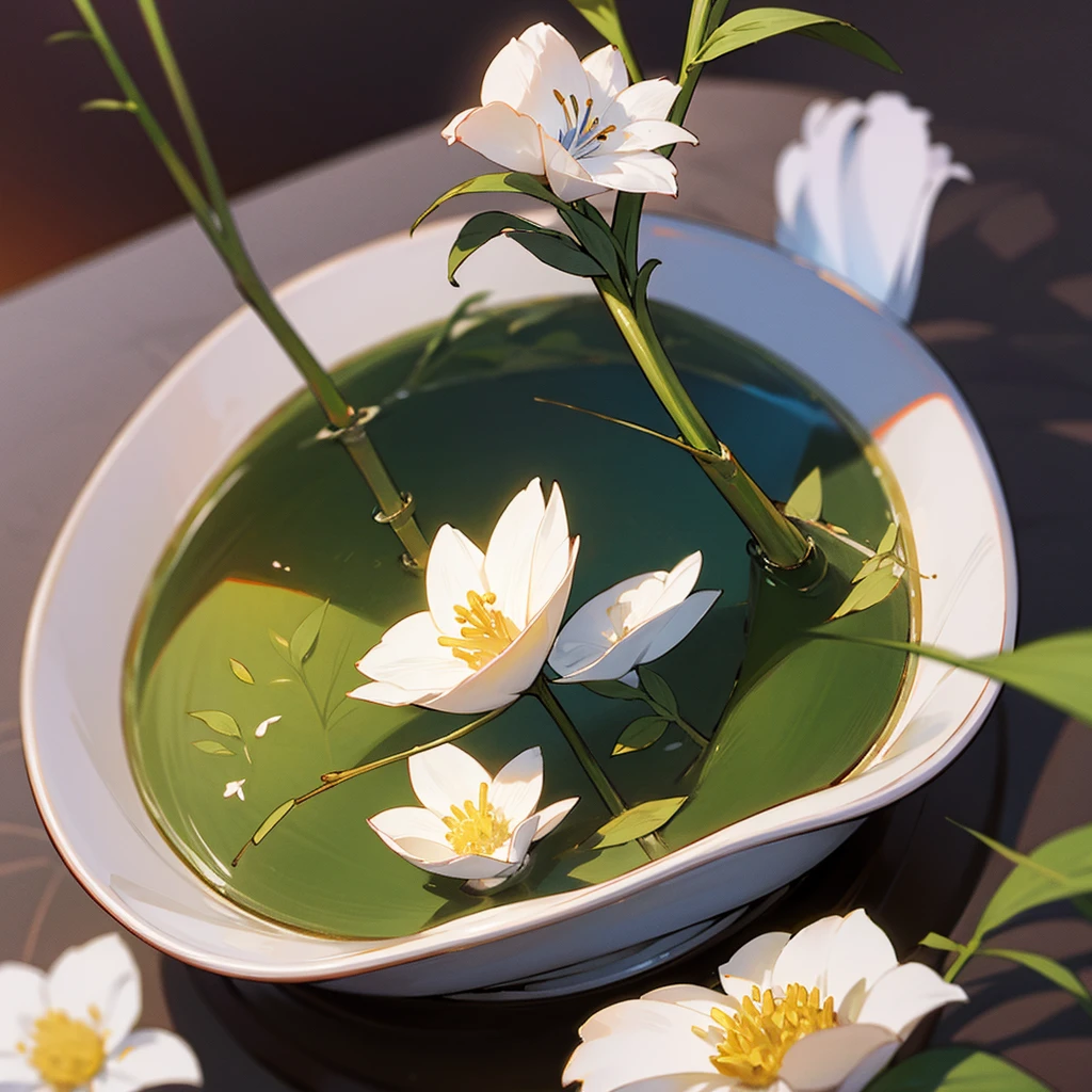 Background only、Jasmine Tea、flower