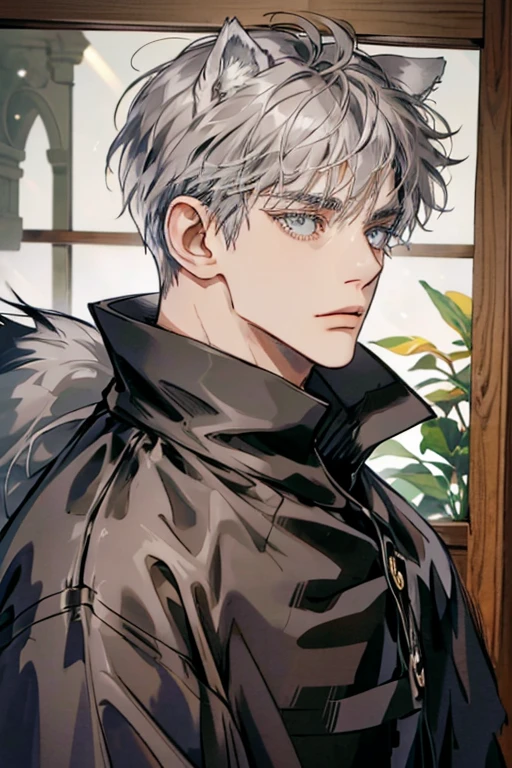 1male, sly, age 30 face, medium fully hair with bangs, grey hair, brown colored eyes, poor looking, black clothes, in a mansion, close up, wolf ears, wolf tail, baggy clothes