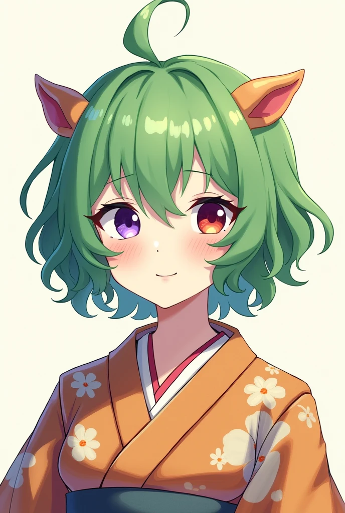 Green Hair、Purple and orange eyes、short hair、Curly hair、Two horns、kimono、