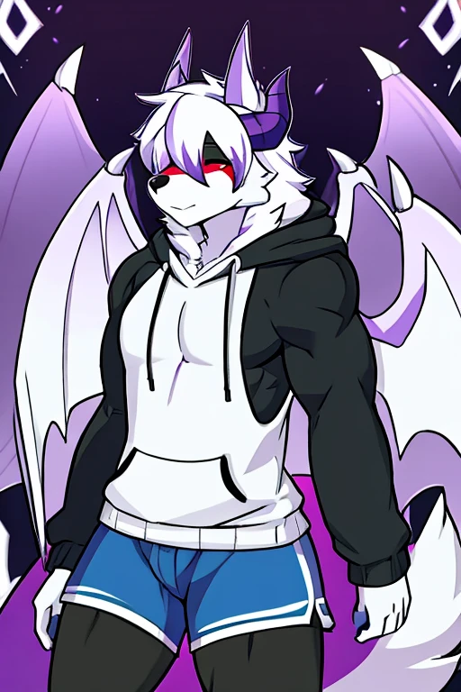 Male Alaskan Malamute Dog Purple and White Fur, With horns, demon wings , hair covering her eyes, White cap, muscular, white sleeveless hooded sweater, shorts negros