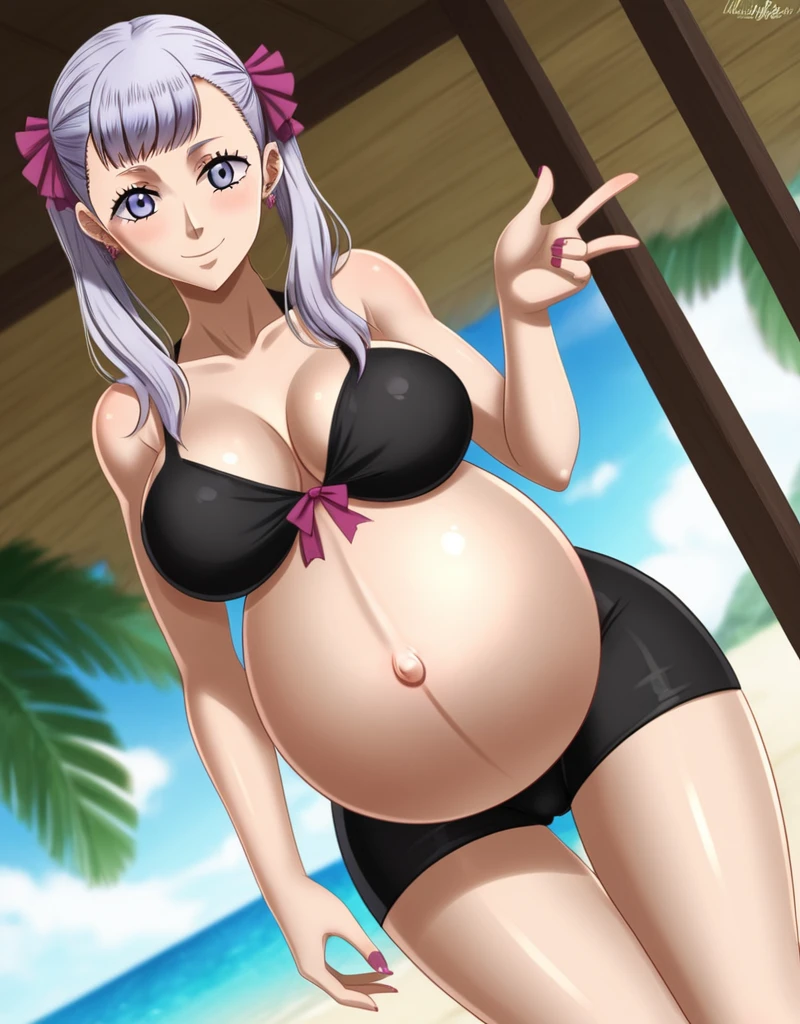 noelle_blackclover, Noelle Silva, Black Clover, long silver hair, waist-length hair, half-up half-down hairstyle, ribbon, side-parted bangs, almond-shaped blue eyes, high-quality, ultra-detailed, beast quality, 8K resolution,
looking at viewer, dutch angle, cowboy shot, smile, pregnant belly, large belly, big belly, big Breasts, belly button, Earrings, Tight clothing,
1girl,solo, indoors, beach, happy, Smiling, rub belly, selfing,
full body, Nail polish, Shiny skin