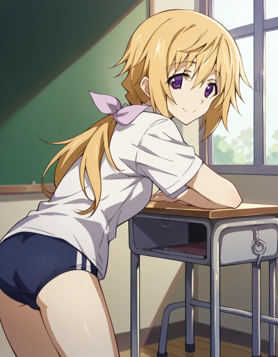 score_9, score_8_up, score_7_up, source_anime,
charlottedunois, charlotte dunois, long hair, blonde hair, ribbon, purple eyes, ponytail, hair ribbon,
((nsfw)),(school gym buruma),shirt,
indoors, classroom, bent over, smile,
looking at viewer, solo, dutch angle,