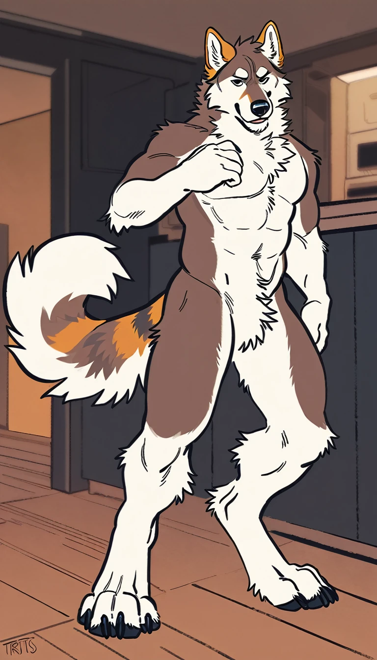 solo, male, anthro (striped husky), by tritscrits, (by botch:0.7), digitigrade, digital artwork, (flat colors:1.3), striped brown husky tail, mature male, sexy, ((detailed background)), athletic, white fur, looking at camera,