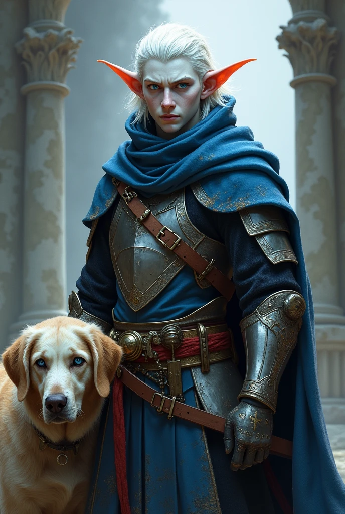 A changeling from dnd with white hair and blue eyes. He wears paladin armor and owns a mastiff. He has a hood. He is very pale. He looks normal not beautiful. He has normal ears