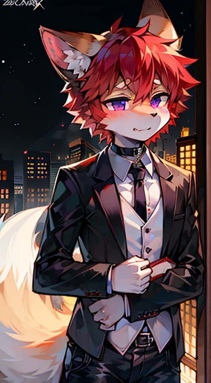 (Masterpiece),(bestquality),white messy hair,black cat beannie,fox ears,fox tail,white shirt,black tie,black stripped jeans,hugged a fox doll y (Artist by zackary911, 8k, high quality, detailed eyes and fur, night, residents background), solo, male fox, anthro, red satured fur, red body, male body, purple eyes, black ears, red hair, short hair, hair cover eye, hands white, choker, eyeliner black, beige jacket, black shirt,