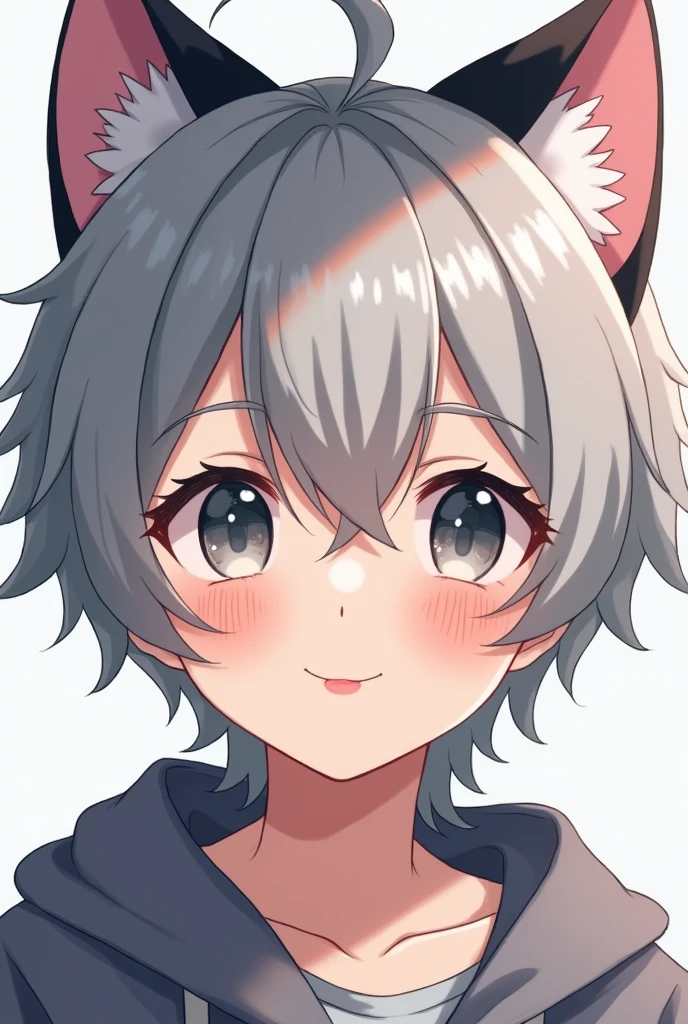 Anime, anime style, 1boy, 16YO, gray eyes, gray hair, cat boy, black cat ears with pink inside, light smile