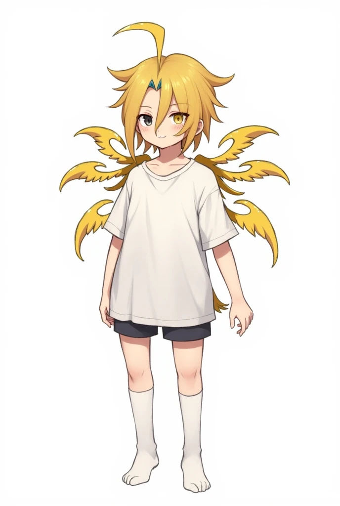 He is a short guy with golden hair and a small strand of blue hair at the top of his head. 2 small strands of hair on both sides of the ears, 1 long strand of hair behind. hair is cut like a mullet. Two-colored eyes, one golden on the right and one black on the left. That boy has 4 pairs of wings on his back and a small yellow wing covering the left half of his face. He wore a baggy T-shirt and white socks. He is standing or sitting.