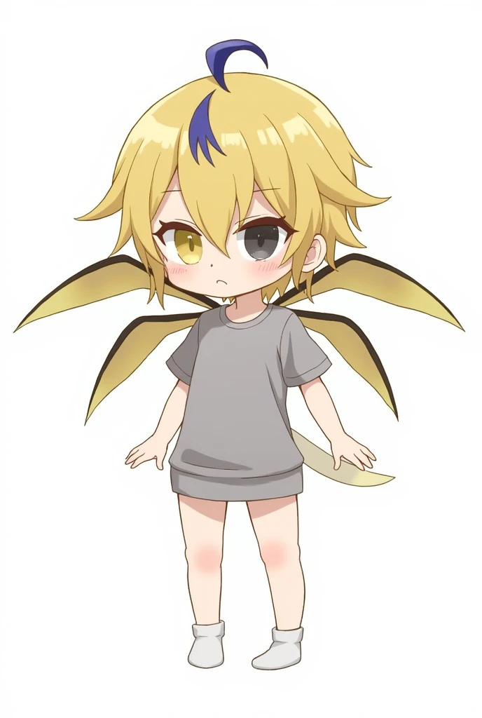 He is a short guy with golden hair and a small strand of blue hair at the top of his head. 2 small strands of hair on both sides of the ears, 1 long strand of hair behind. hair is cut like a mullet. Two-colored eyes, one golden on the right and one black on the left. That boy has 4 pairs of wings on his back and a small yellow wing covering the left half of his face. He wore a baggy T-shirt and white socks. He is standing or sitting.