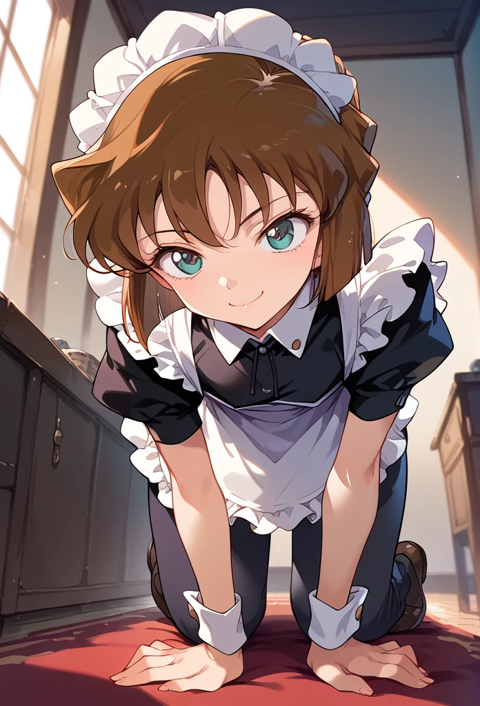 masterpiece,High resolution,Highest quality,8k(Detective Conan,ai haibara) (,,Flat Chest,Short,Brown Hair,short hair) ((Maid clothes))On all fours,From below,smile