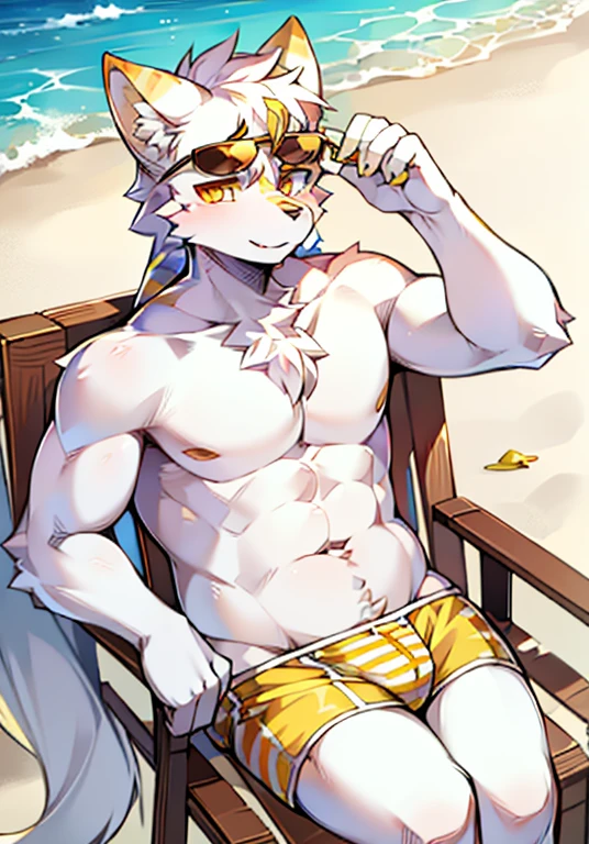 White Wolf，solo，There are gold stripes around the ears，Golden Eyes，Handsome，cute，Wear sunglasses，at the seaside，Sitting on the beach，For the audience，White diapers