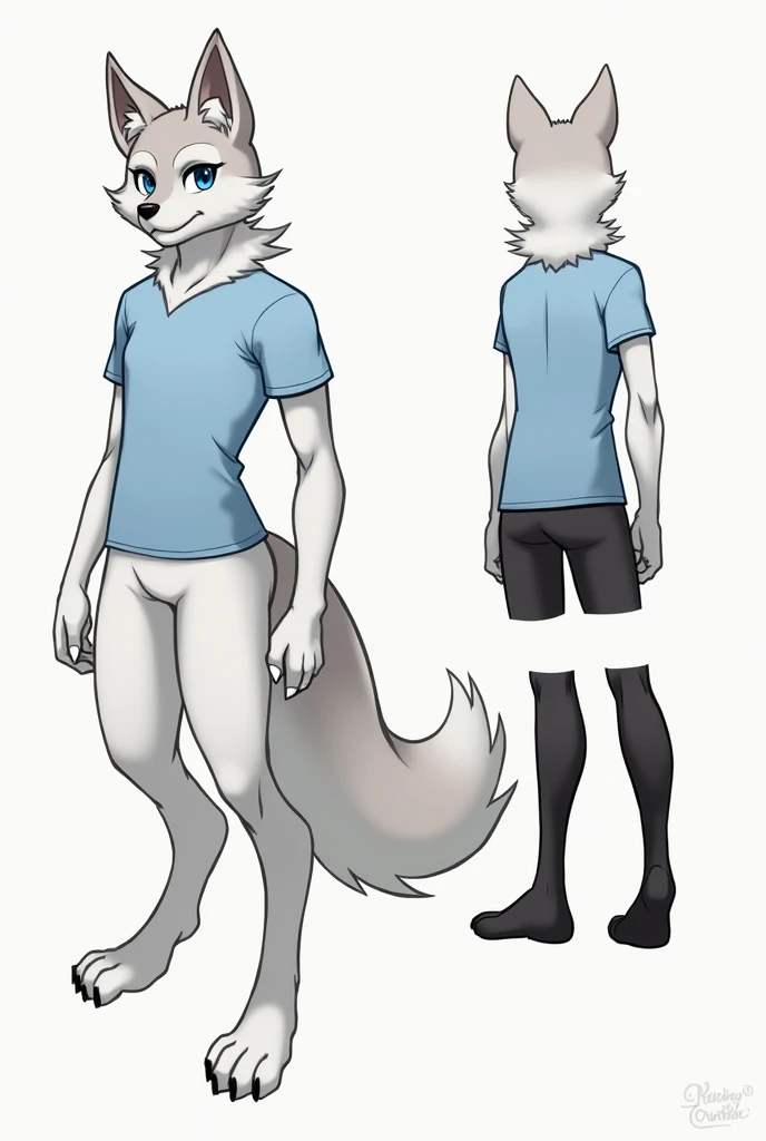 Furry fursona, white shaded with gray coloured, blue eyes, reference sheet, male, wearing black stockings and a light blue t-shirt, dog species