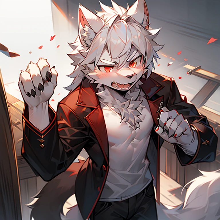 alone person, single, teenage boy, white wolf, long white hair, ears fluffy wolf, eyesbrown white, red eyes, big wolf, high quality, high resolution, masterpiece, detail, plain jacket is open, no shirt, short caramel trousers, angry face, vampire teeth, small knife in hand. 