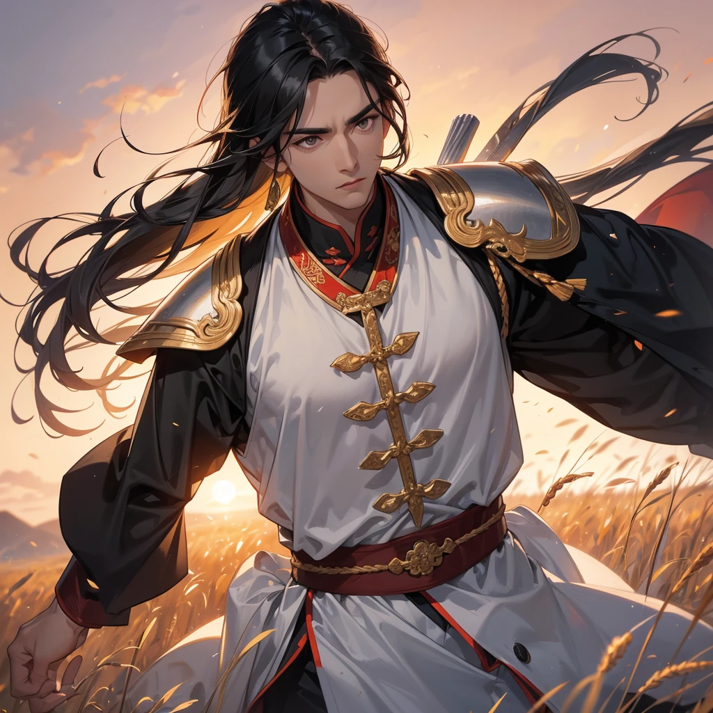 Handsome black-haired male general holding a large sword in white ancient Chinese costume, Standing in the middle of wheat field, sunset, close up.