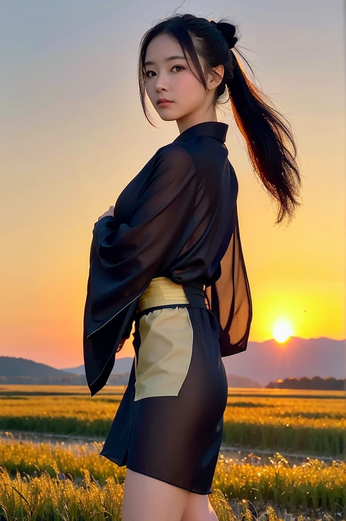 A girl in a kimono with a blank look stands waist-deep in a field of wheat, a black kimono with gold edges, her hair is tied in a ponytail, yellow eyes, the sunset is reflected in her eyes, the light falls on her face, half-sideways to the camera, seethru