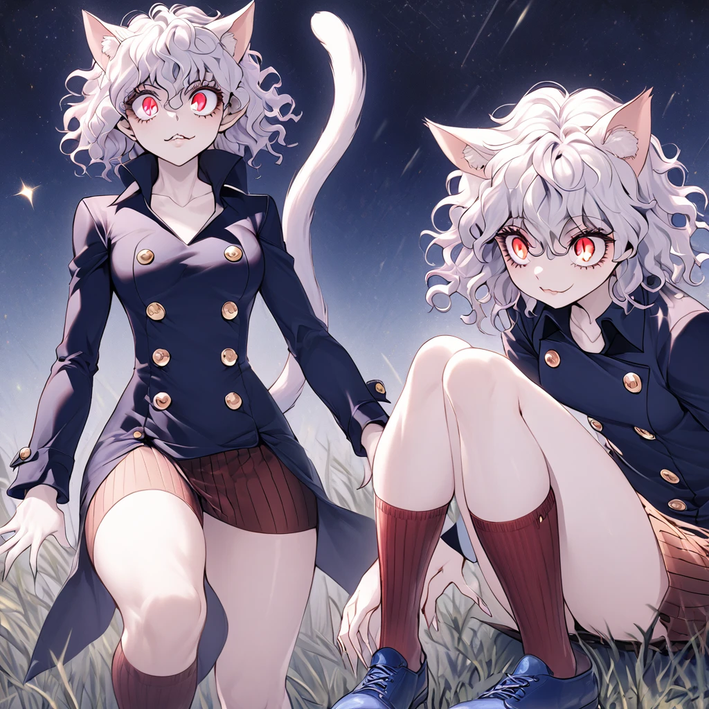 1girl, neferpitou, short hair, red eyes, animal ears, tail, white hair, cat ears, cat tail, curly hair, long sleeves, shorts, model's expressiion, silver hair, short and curly hair, cat ears, red eyes, large pupils, double eyelids, slender eyebrows, long eyelashes, small nose, small mouth, sharp jawline, blue military-style coat, six gold buttons, short red striped skirt, high collar, long sleeves, slender wrists, flexible fingers, white skin, cat-like claws, red striped knee-high socks, blue shoes, sturdy soles, slender ankles, small feet, long legs, muscular thighs, thin waist, wide shoulders, cat-like gaze, long neck, straight shoulder line, straight back, muscular arms, long fingers, firm upper arms, soft hands, small palms, cat-like smile, serious furrowed brows, pointed ears, pink inside of ears, thin eyelids, upward curled eyelashes, vertical slit pupils, cat whisker-like cheek markings, many lower eyelashes, small nostrils, thin lips, pointed chin, protruding collarbones, straight posture, high hips, muscular thighs, pointed knees, well-fitted socks, neatly tied shoelaces, soft cat ears, rounded ear tips, soft fluffy hair, thin eyebrows, light pink lips, white teeth, well-shaped lips, smooth skin, sensitive ears, reflective pupils, heavy eyelids, slightly curved cat ears, well-fitted coat, wide skirt hem, shining buttons, slightly old shoes, hair waving in wind, sparkling pupils, moving cat ears, nighttime forest background, moonlight, starry night sky, G-cup chest, cocky cat-like expression, thick glossy thighs and hips, detailed texture of hair and clothing, light and shadow contrast, background details including swaying grass and old building, specific lighting conditions with moonlight casting shadows, detailed coloration of outfit with deep blue and red stripes, intricate design of buttons, and emotional depth in expressions showing defiance, joy, and determination.