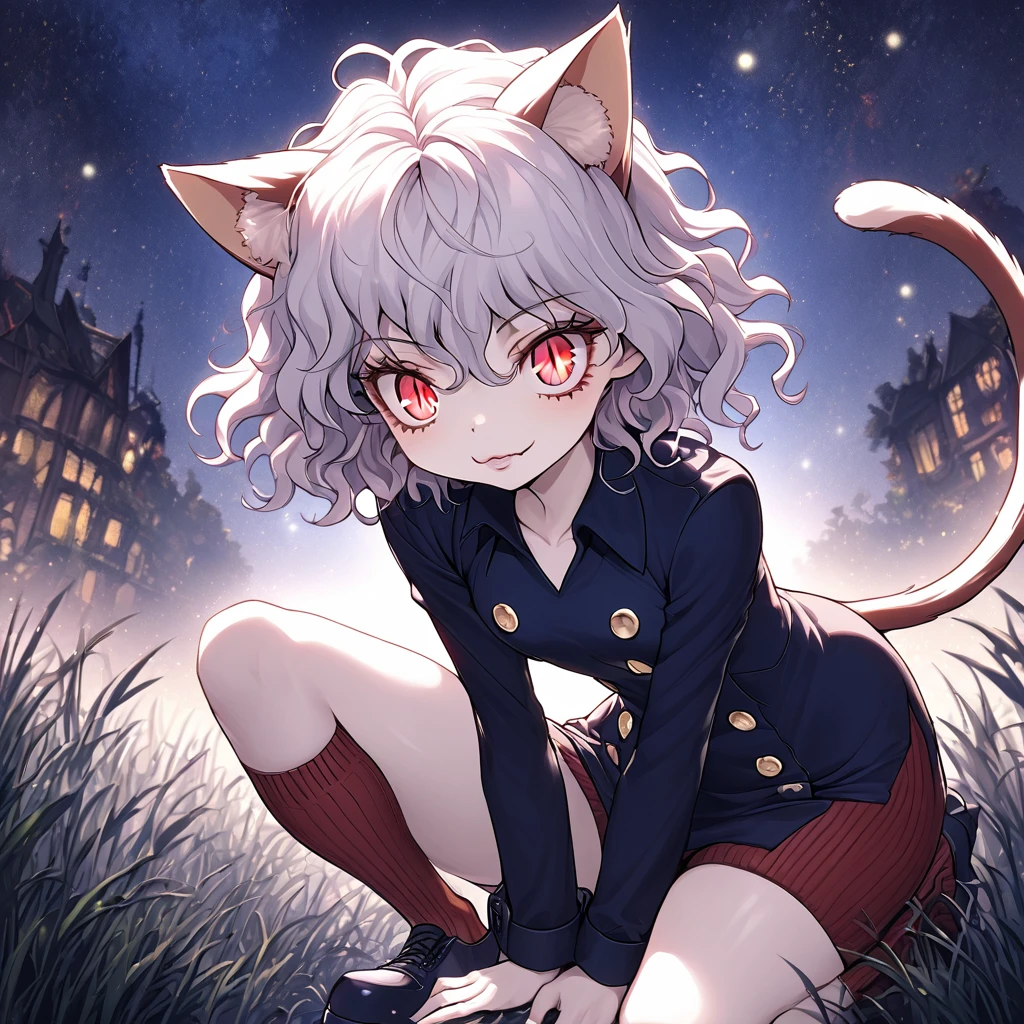 1girl, neferpitou, short hair, red eyes, animal ears, tail, white hair, cat ears, cat tail, curly hair, long sleeves, shorts, model's expressiion, silver hair, short and curly hair, cat ears, red eyes, large pupils, double eyelids, slender eyebrows, long eyelashes, small nose, small mouth, sharp jawline, blue military-style coat, six gold buttons, short red striped skirt, high collar, long sleeves, slender wrists, flexible fingers, white skin, cat-like claws, red striped knee-high socks, blue shoes, sturdy soles, slender ankles, small feet, long legs, muscular thighs, thin waist, wide shoulders, cat-like gaze, long neck, straight shoulder line, straight back, muscular arms, long fingers, firm upper arms, soft hands, small palms, cat-like smile, serious furrowed brows, pointed ears, pink inside of ears, thin eyelids, upward curled eyelashes, vertical slit pupils, cat whisker-like cheek markings, many lower eyelashes, small nostrils, thin lips, pointed chin, protruding collarbones, straight posture, high hips, muscular thighs, pointed knees, well-fitted socks, neatly tied shoelaces, soft cat ears, rounded ear tips, soft fluffy hair, thin eyebrows, light pink lips, white teeth, well-shaped lips, smooth skin, sensitive ears, reflective pupils, heavy eyelids, slightly curved cat ears, well-fitted coat, wide skirt hem, shining buttons, slightly old shoes, hair waving in wind, sparkling pupils, moving cat ears, nighttime forest background, moonlight, starry night sky, G-cup chest, cocky cat-like expression, thick glossy thighs and hips, detailed texture of hair and clothing, light and shadow contrast, background details including swaying grass and old building, specific lighting conditions with moonlight casting shadows, detailed coloration of outfit with deep blue and red stripes, intricate design of buttons, and emotional depth in expressions showing defiance, joy, and determination.