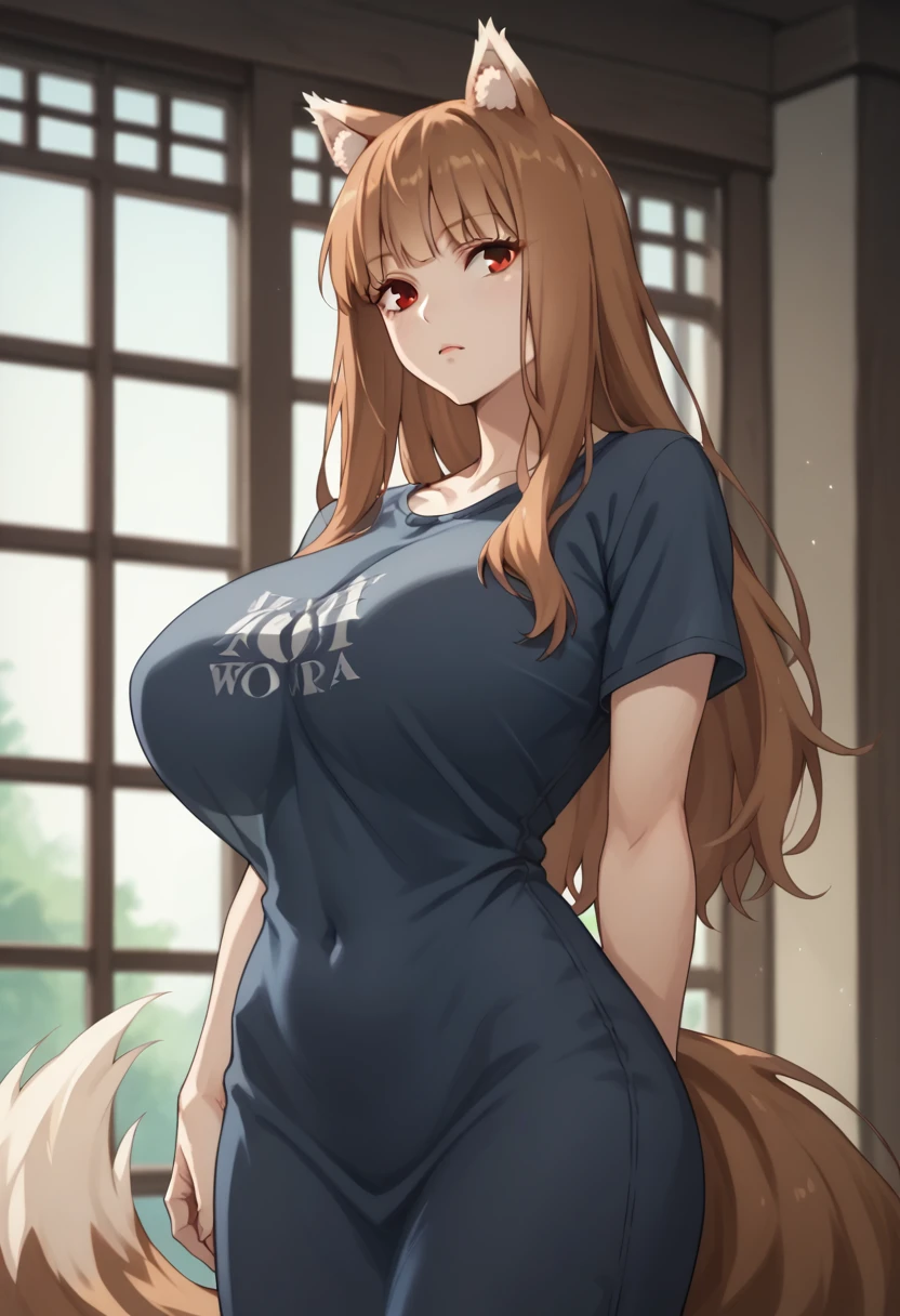 Brown Hair,Long Hair,Red eyes, Wolf Girl,Wolf Ears,Wolf's tail、Huge breasts、T-shirt maxi dress