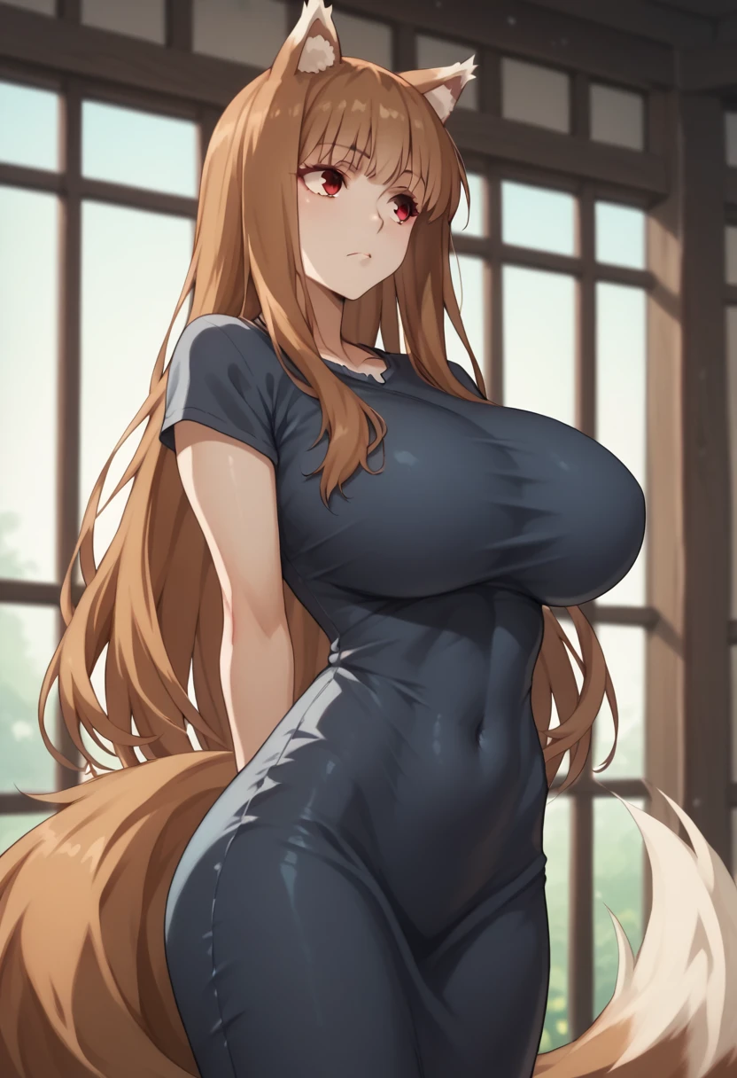 Brown Hair,Long Hair,Red eyes, Wolf Girl,Wolf Ears,Wolf's tail、Huge breasts、T-Shirts(tight)Maxi Dresses