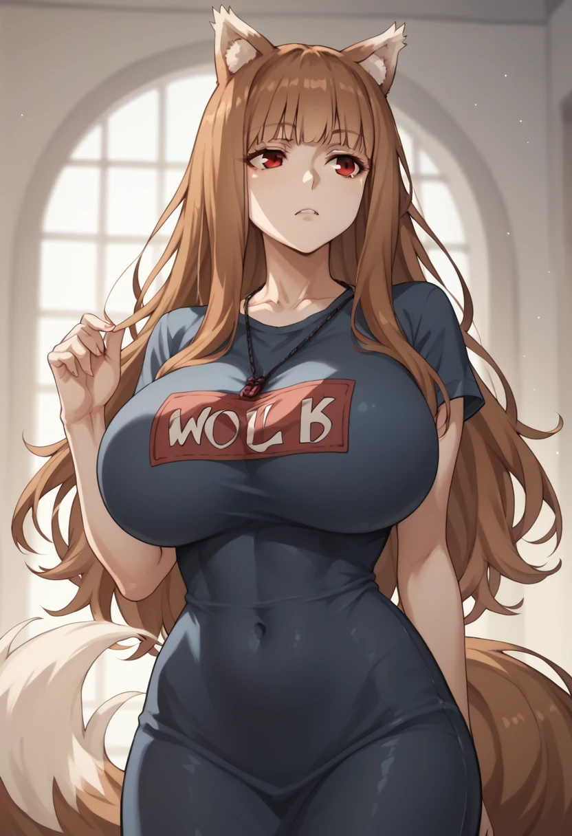 Brown Hair,Long Hair,Red eyes, Wolf Girl,Wolf Ears,Wolf's tail、Huge breasts、T-Shirts(tight)Maxi Dresses