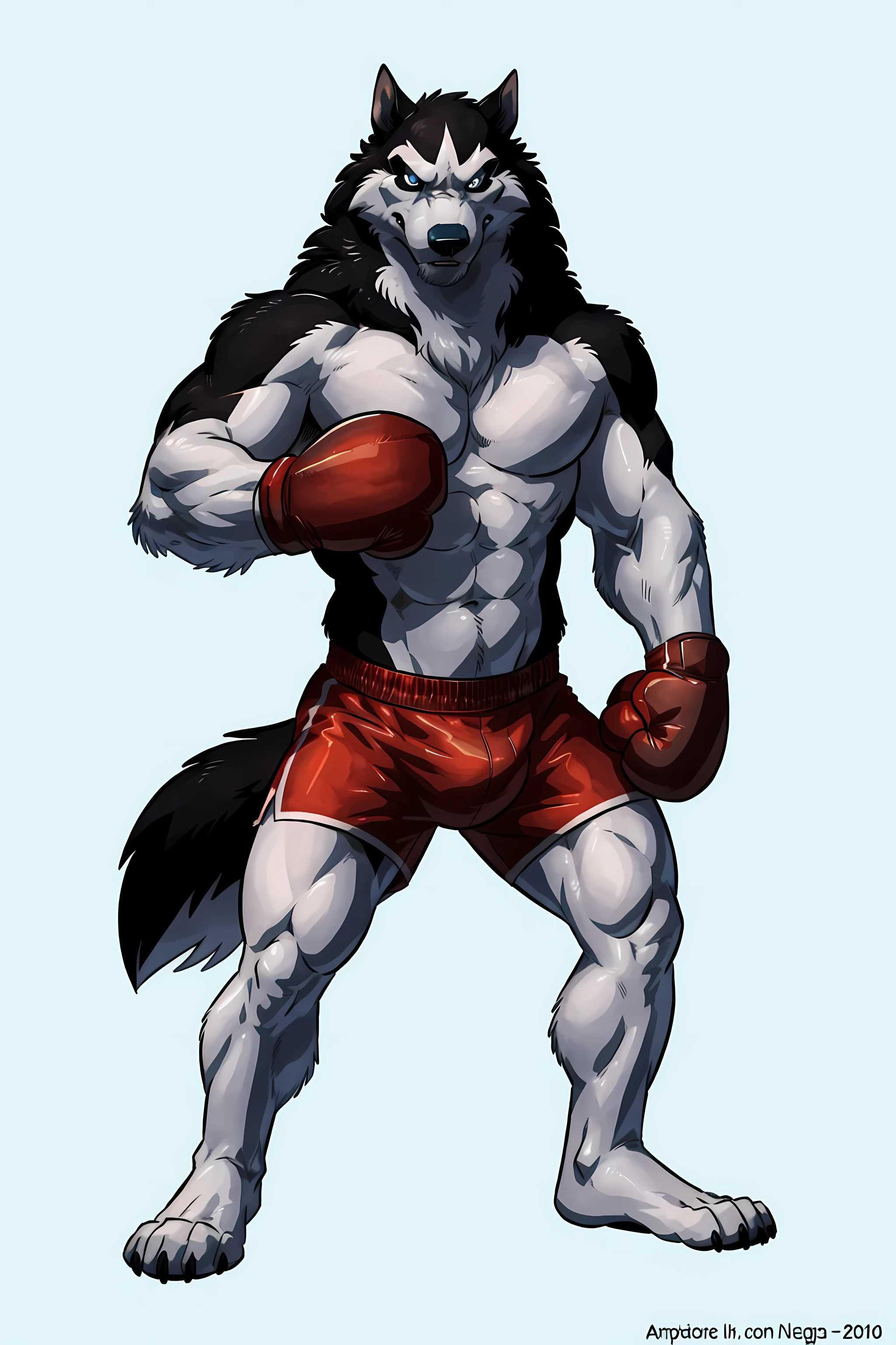 steele, steele (balto), alaskan malamute, ice blue eyes, solo, detailed, detailed face, detailed eyes, anthro body, black lineart, black outline, male, masculine, adult, very muscular body:1.2, muscles, cartoon shading, confident, proud, boxing shorts, wolf tail, (wearing boxing gloves, detailed boxing gloves):1.1, (no background, white background):1.5, bare chest, by wfa, by negger, cel-shading:1.2, boxing stance:1.2, fists raised, sweaty:1.2, stern face, half body, correct anatomy, correct proportions