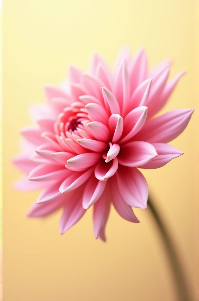 Embroidery knitting patterns, A large pink chrysanthemum in the style of Hsiao Rong Cheng, with soft edges and blurred details. The background is a light yellow. A close-up shot captures the central composition, highlighting its vibrant color and delicate petals. This artwork presents an abstract yet visually appealing depiction of nature through a minimalist design., 32k,
