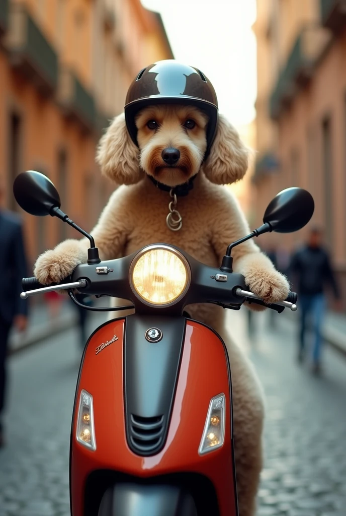 Street photography of a poodle, wearing a scooter helmet, riding a scooter with confident posture, full body framing, in bustling Roman streets with iconic architecture, golden hour lighting, shot from a low angle, on a Leica M10 with a 35mm f/1.4 lens, (motion blur effect:1.2), in the style of (Elliott Erwitt:1.3)