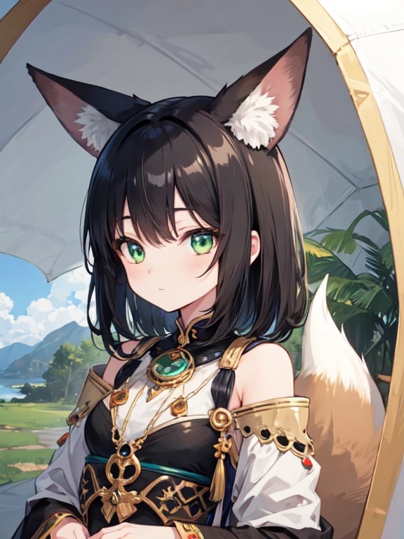 girl with green eyes,detailed face, long eyelashes, black hair, green eyes, fennec fox ears, wearing tribal clothes, in a tent, ultra-detailed,,fantasy, high quality, detailed body