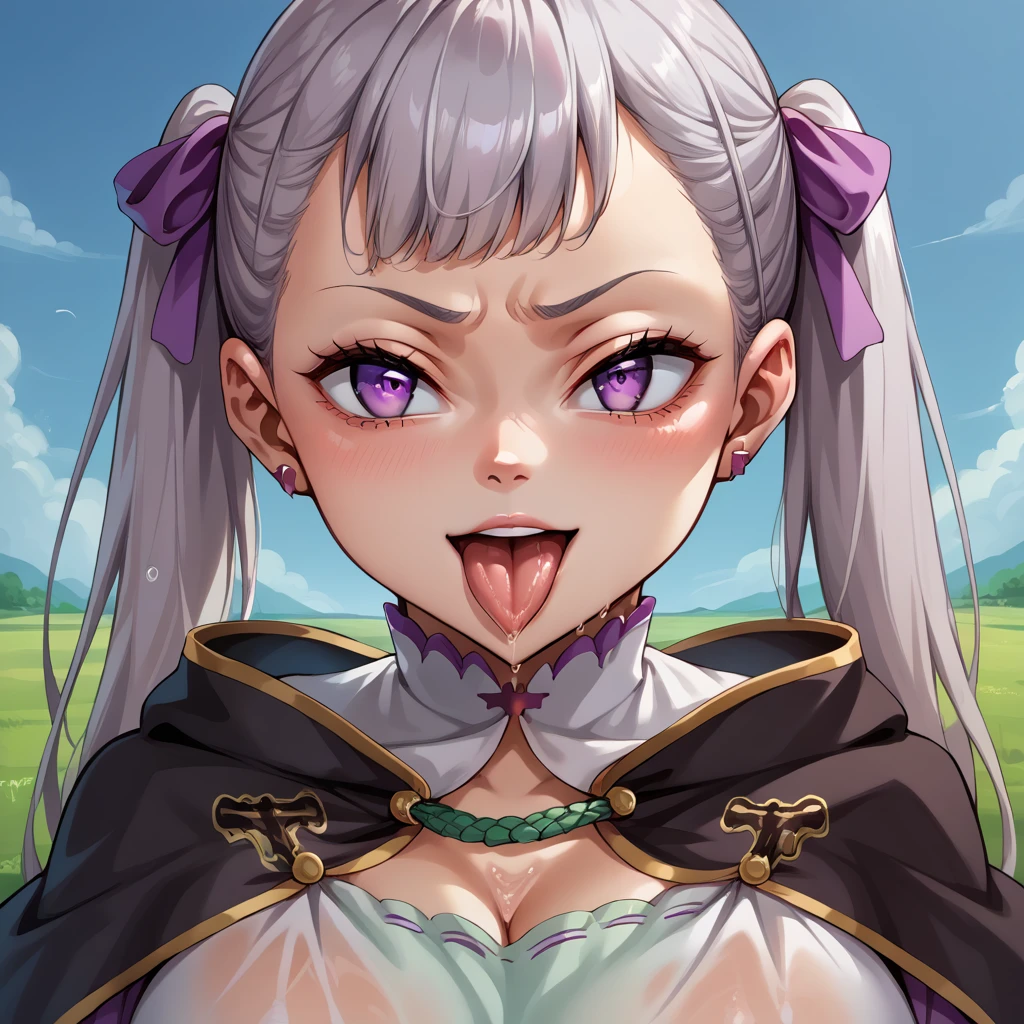 score_9, score_8_up, score_7_up, score_6_up, source_anime BREAK 1girl,  noelle silva, grey hair, purple eyes, twintails, hair ribbon, black capelet, green strap, white and purple dress, long sleeves, belt, looking at you, big breasts, smug, blue sky, field, upper body,Tongue, Tongue Out, mouth open,wet,saliva,body wet