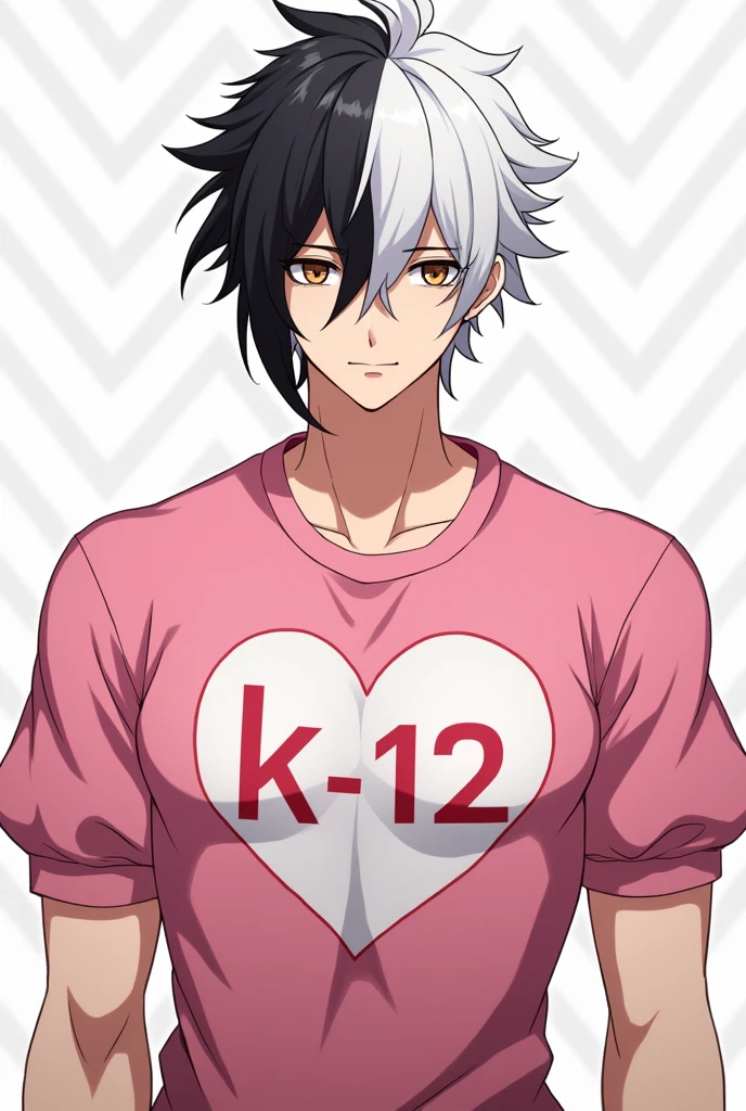 Gender:male style:male anime Body:muscular and without breasts Skin: Clear Eyes: Brown Hair: divided in half, with one side black and the other white Shirt: Pink with puff sleeves, with a heart written in front "k-12"