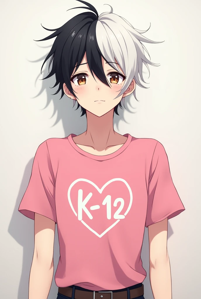 Gender:male style:male anime Body:Scrawny,tall and flat chested Skin: Clear Eyes: Brown Hair: divided in half, with one side black and the other white Shirt: Pink with puff sleeves, with a heart written in front "k-12"