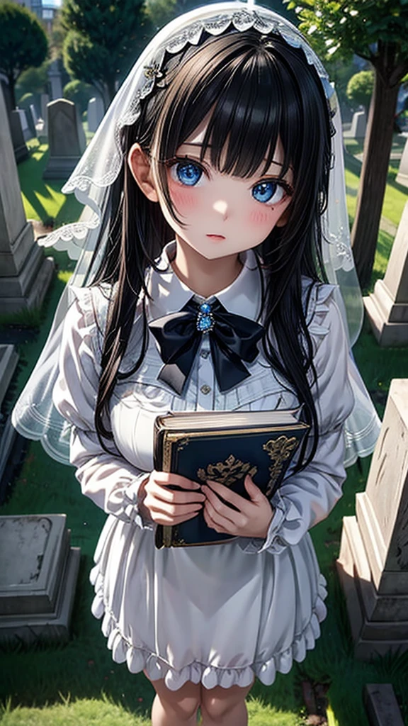 Very detailed、Many details、Accurate Fingers、Exact number of arms、high resolution、Ghost Girl、Standing with a thick book、Look down、White embroidered veil、White long sleeve frilly dress、There is a slit on the thigh、Large Breasts、Blue dark eyes、Big eyes、A captivating expression、barefoot、cute、Black Hair、A fragile face peering at me、beautiful、Abandoned Church、Western cemeteries